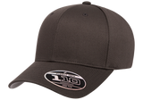 FLEXFIT 110® Mesh Cap Snapback