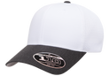 FLEXFIT 110® Mesh Cap Snapback