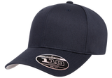 FLEXFIT 110® Mesh Cap Snapback